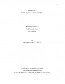 Organización Estatal Colombiana