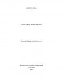 MICROFINANZAS. Características de entidad financiera