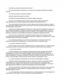 ¿Qué tipo de empresa consideras que es Amazon?