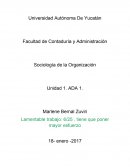 La sociedad en las organizaciones