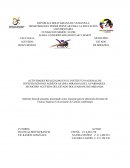 Actividades realizadas en el Instituto Nacional de Investigaciones Agrícolas