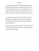 El origen de los defectos del software