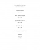 Laboratorio #10 Geometría Molecular