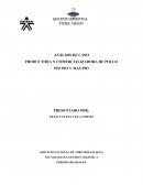 ANALISIS DE CASO PIO PIO GESTION LOGISTICA