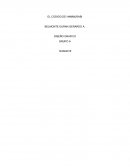 Sintesis codigo hamurabbi