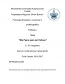 Mis pasos para ser exitoso