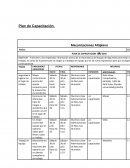 Plan de capacitación.