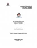 Práctica profesional LETEHI SPA