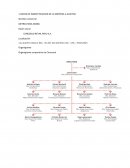 DATOS DE INDENTIFICACION DE LA EMPRESA A AUDITAR