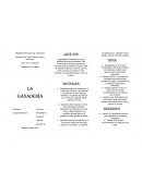 La ganadería comprende la cría de rebaños de diversos animales