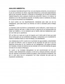 ANALISIS AMBIENTAL, La empresa International Export Corp