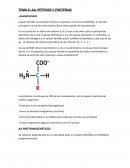 TEMA 6: AA, PÉPTIDOS Y PROTEÍNAS