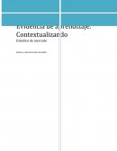 Estudios de mercado Gestión y Administración de PyMES
