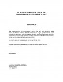 EL SUSCRITO REVISOR FISCAL DE ANGIOGRAFIA DE COLOMBIA S. EN C.