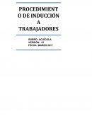 PROCEDIMIENTO DE INDUCCIÓN.