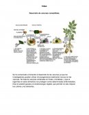 Se ha comenzado a fomentar el desarrollo de las vacunas ya que los investigadores pueden utilizar microorganismos totalmente inocuos en las vacunas. Se trata de vacunas contenidas en frutas u hortalizas, y que al ingerirlas en estos alimentos nos protegen
