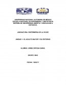 El adulto mayor y su entorno.