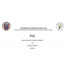 Constituyen los estudios futuros que la persona se fija y que orientaran de alguna forma sus acciones,