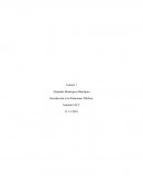 Explique el fenómeno de la comunicación.