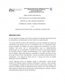 Ensayo de Motivacion.