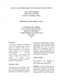 Laboratorio de Quimica General Practica de Soluciones.