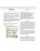 Sustancias insolubles en agua, pero solubles en solventes orgánicos