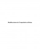 Modificaciones de Troquelado en Bolsas