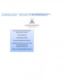 Gimnasio y sus componentes.