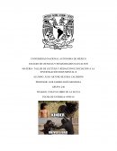 Ensayo libro de la selva.