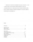 La demencia vascular