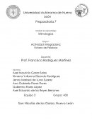 Integradora Etapa 1 Etimologias.