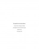 Investigación en la prevención de riesgos