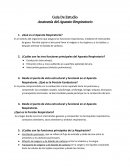 Guía De Estudio Anatomía del Aparato Respiratorio