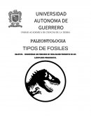 OBJETIVO. - DISCRIMINAR LOS PROCESOS DE FOSILIZACION PRESENTES EN LOS EJEMPLERES PROCEDENTES.