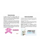 Etapa 4 biologia 2.