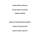 Hipotesis de minsky.