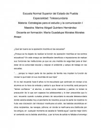 Operación mochila. Página 1
