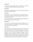 Hipotesis sobre los niños salvajes.