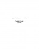 Hardware adicional y los medios de comunicación.