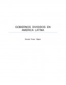 GOBIERNOS DIVIDIDOS EN AMERICA LATINA