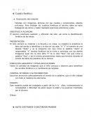 Cuadro fonético: Descripción del material: