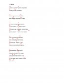 Cancion se la india.