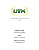 RESUMEN DE LOS PRIMEROS 7 CAPITULOS DEL LIBRO “EL RINOCERONTE”