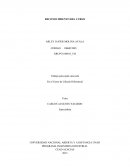 Reconcimiento Calculo.