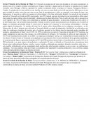 Minería ilegal y mineros informales