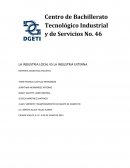 Industria local vs Industria externa.