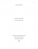 Investigación de mercado Juan valdes.