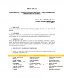 PRACTICA 2 CONOCIMIENTO Y CORRECTO USO DEL MATERIAL Y EQUIPO COMUN DEL LABORATORIO DE QUIMICA