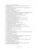 Cuestionario Informatica ¿Qué es una referencia de celda?