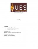 Proxy. Materia: Seguridad e integridad de la información